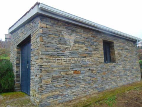 Olival em produção - abaças / vila real