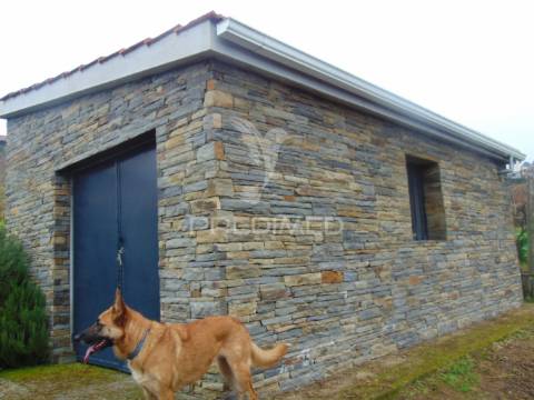 Olival em produção - abaças / vila real