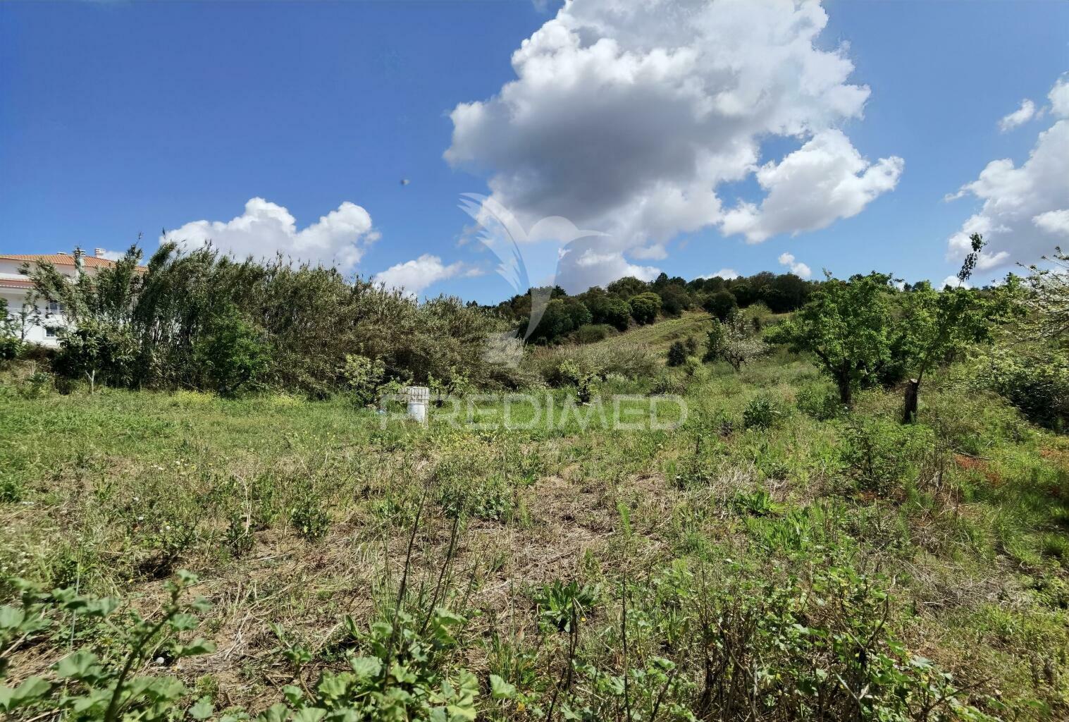 Terreno urbano, localizado na roliça - bombarral