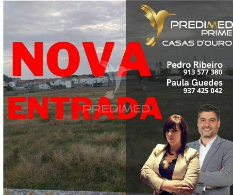 Novidade - beiriz, póvoa de varzim