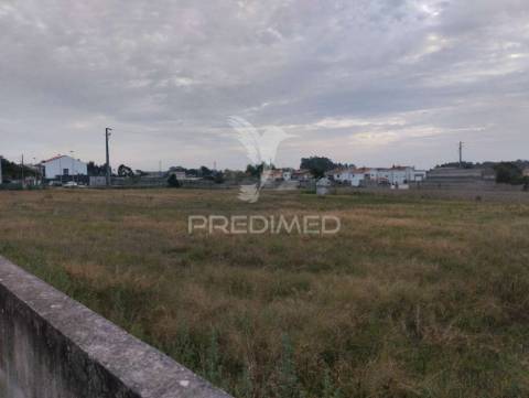 Novidade - beiriz, póvoa de varzim