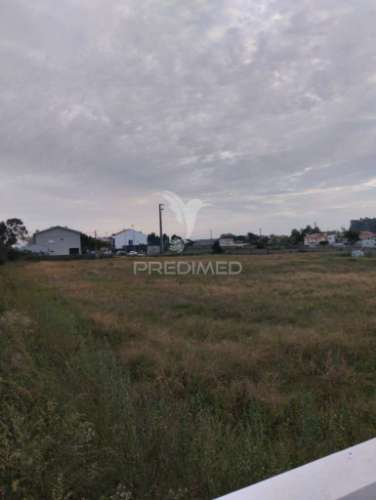 Novidade - beiriz, póvoa de varzim