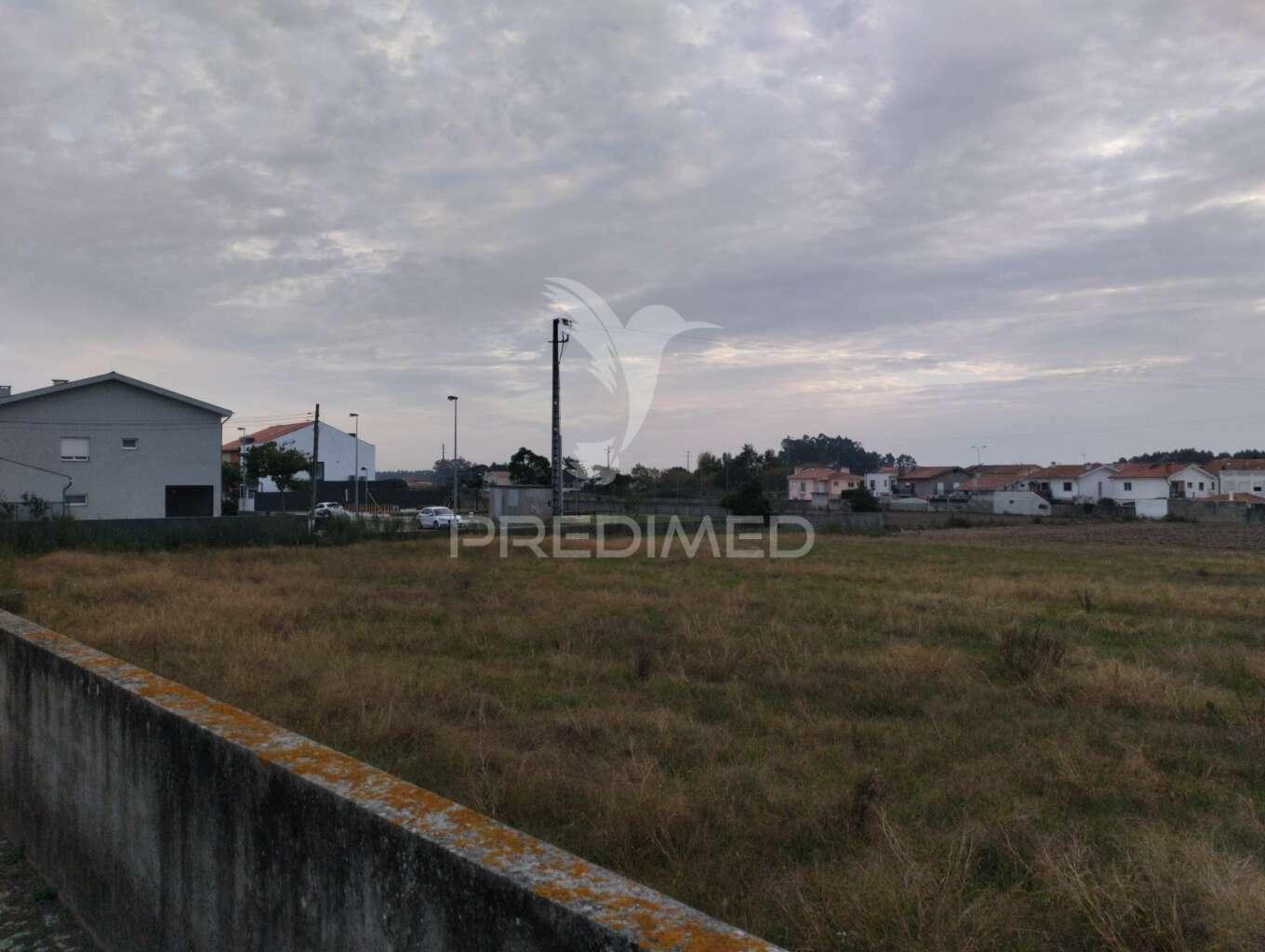 Novidade - beiriz, póvoa de varzim