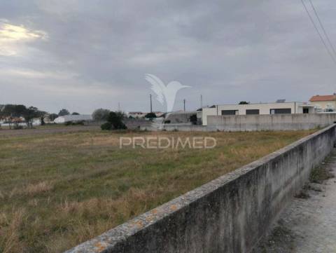 Novidade - beiriz, póvoa de varzim