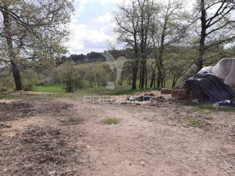 Quinta em local sossegado - trancoso