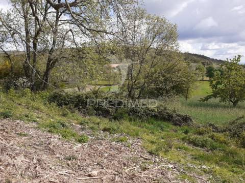 Quinta em local sossegado - trancoso