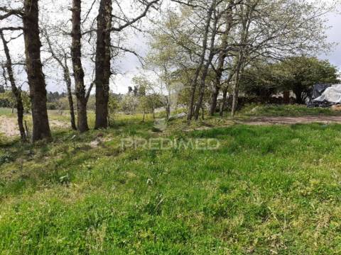 Quinta em local sossegado - trancoso