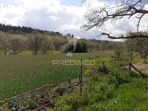 Quinta em local sossegado - trancoso