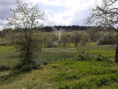 Quinta em local sossegado - trancoso