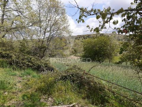 Quinta em local sossegado - trancoso