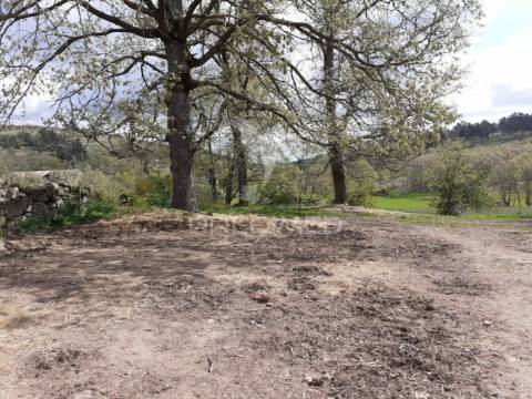 Quinta em local sossegado - trancoso