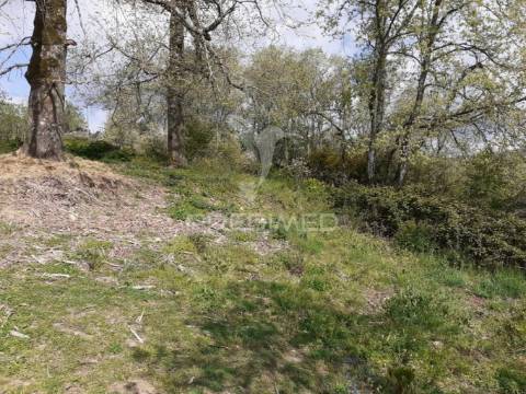 Quinta em local sossegado - trancoso