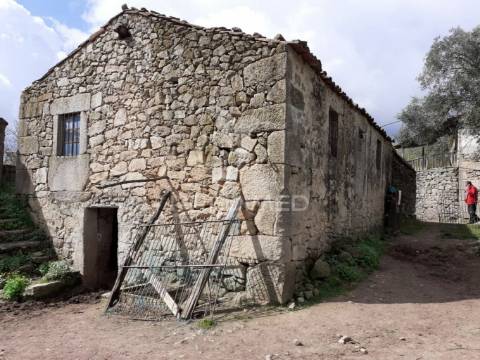 Quinta em local sossegado - trancoso