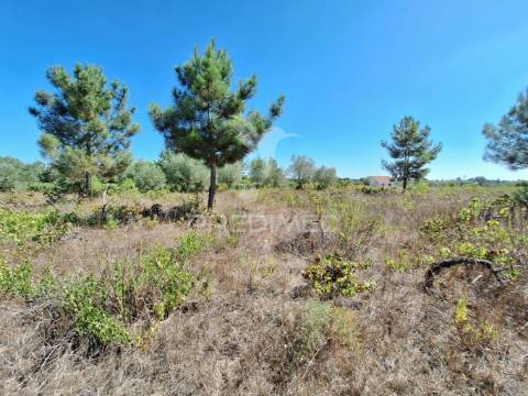 Terreno rústico, situado no alto do vale de santarém