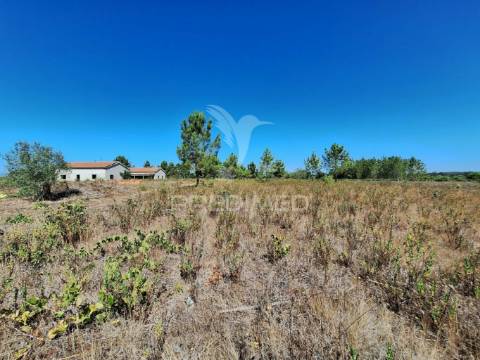 Terreno rústico, situado no alto do vale de santarém