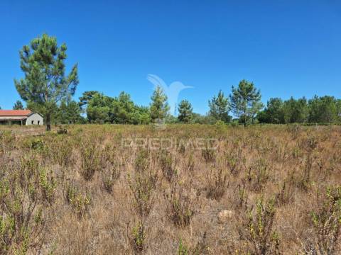 Terreno rústico, situado no alto do vale de santarém