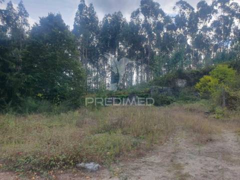 Terreno com 22 000m2 em fafe