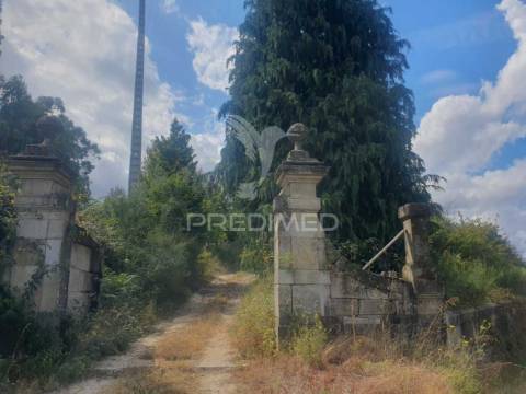 Terreno com 22 000m2 em fafe