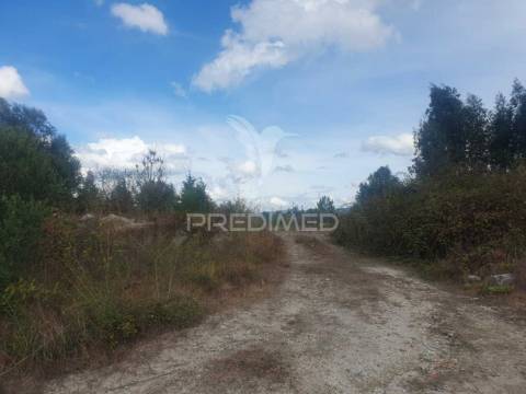 Terreno com 22 000m2 em fafe