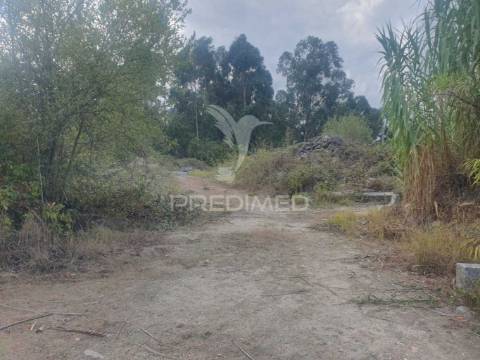 Terreno com 22 000m2 em fafe