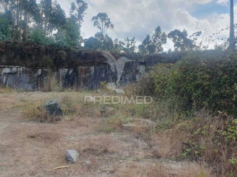 Terreno com 22 000m2 em fafe