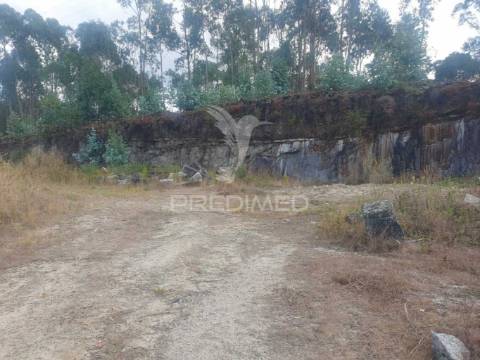 Terreno com 22 000m2 em fafe