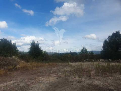 Terreno com 22 000m2 em fafe