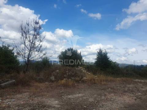 Terreno com 22 000m2 em fafe