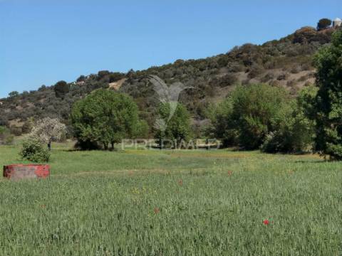 Terreno rústico, arneiro das milhariças
