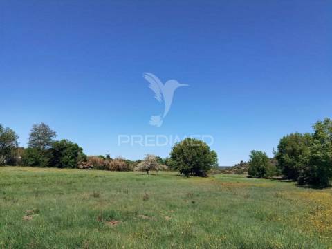 Terreno rústico, arneiro das milhariças