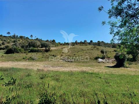 Terreno rústico, arneiro das milhariças