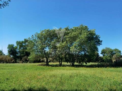 Terreno rústico, arneiro das milhariças