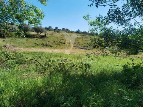 Terreno rústico, arneiro das milhariças