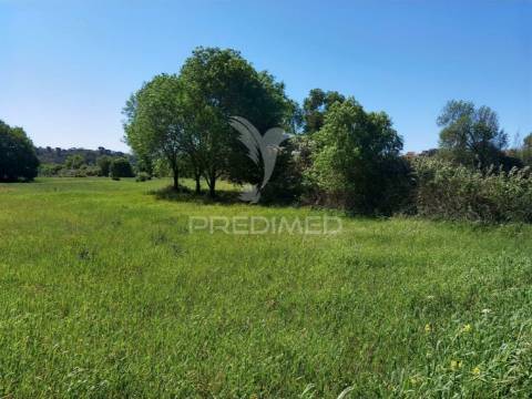 Terreno rústico, arneiro das milhariças