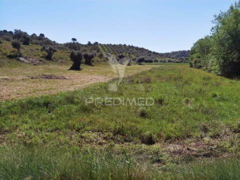 Terreno rústico, arneiro das milhariças