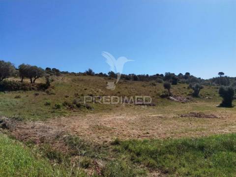 Terreno rústico, arneiro das milhariças