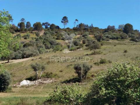 Terreno rústico, arneiro das milhariças