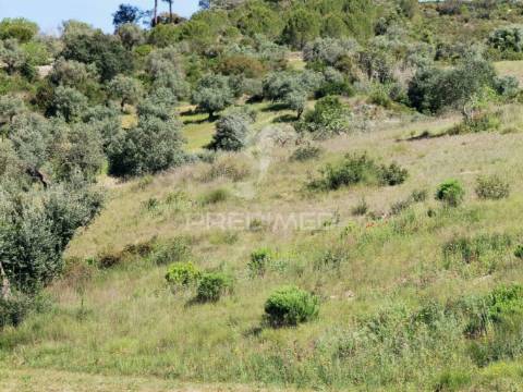 Terreno rústico, arneiro das milhariças