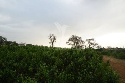 Terreno para construção, santiago do cacém
