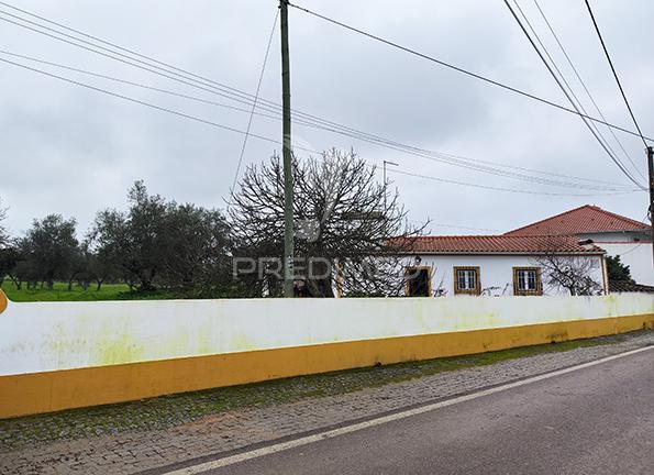 Quinta em avis