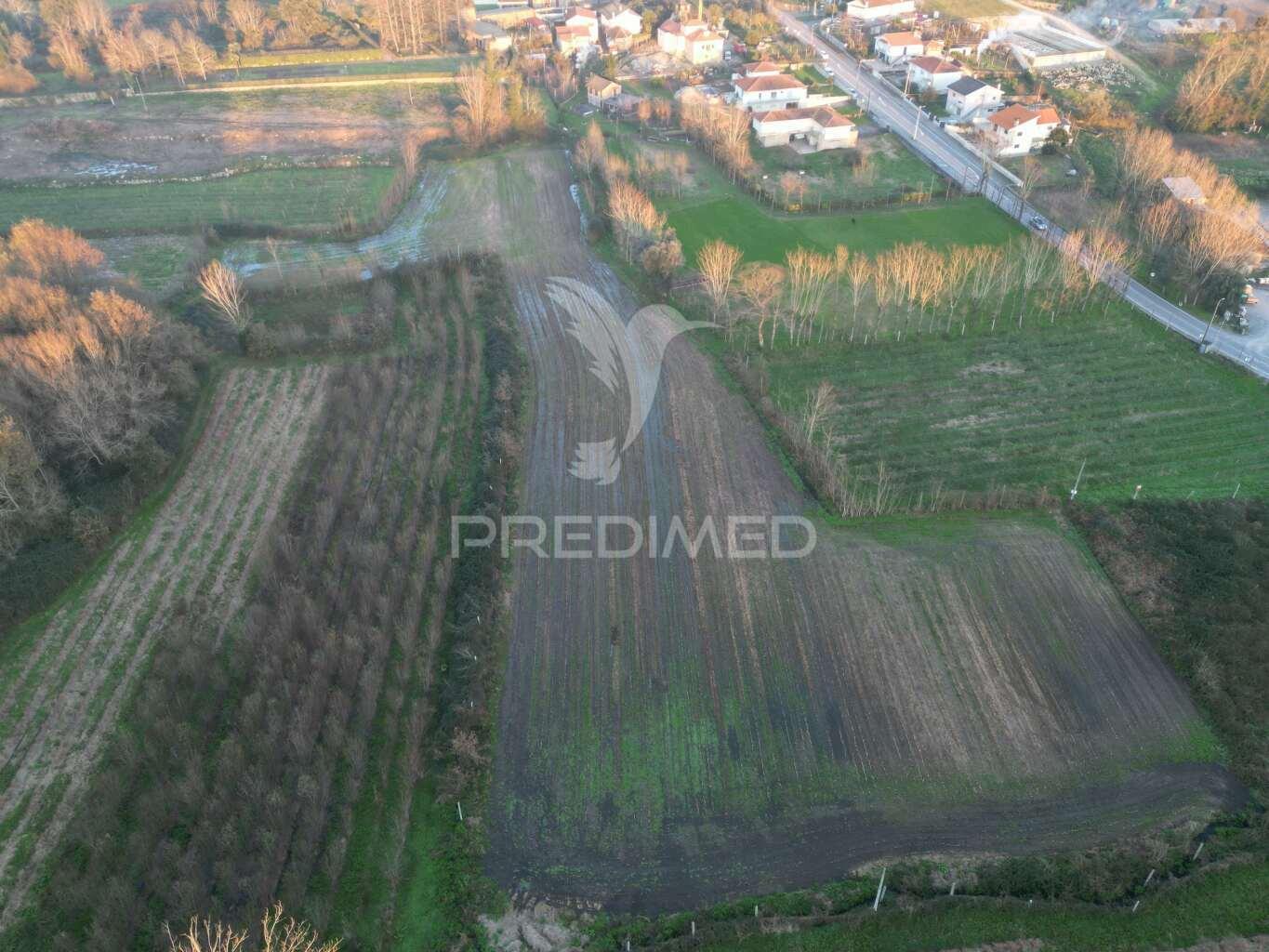 Terreno em briteiros santo estêvão - guimarães