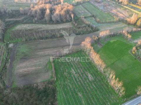 Terreno em briteiros santo estêvão - guimarães