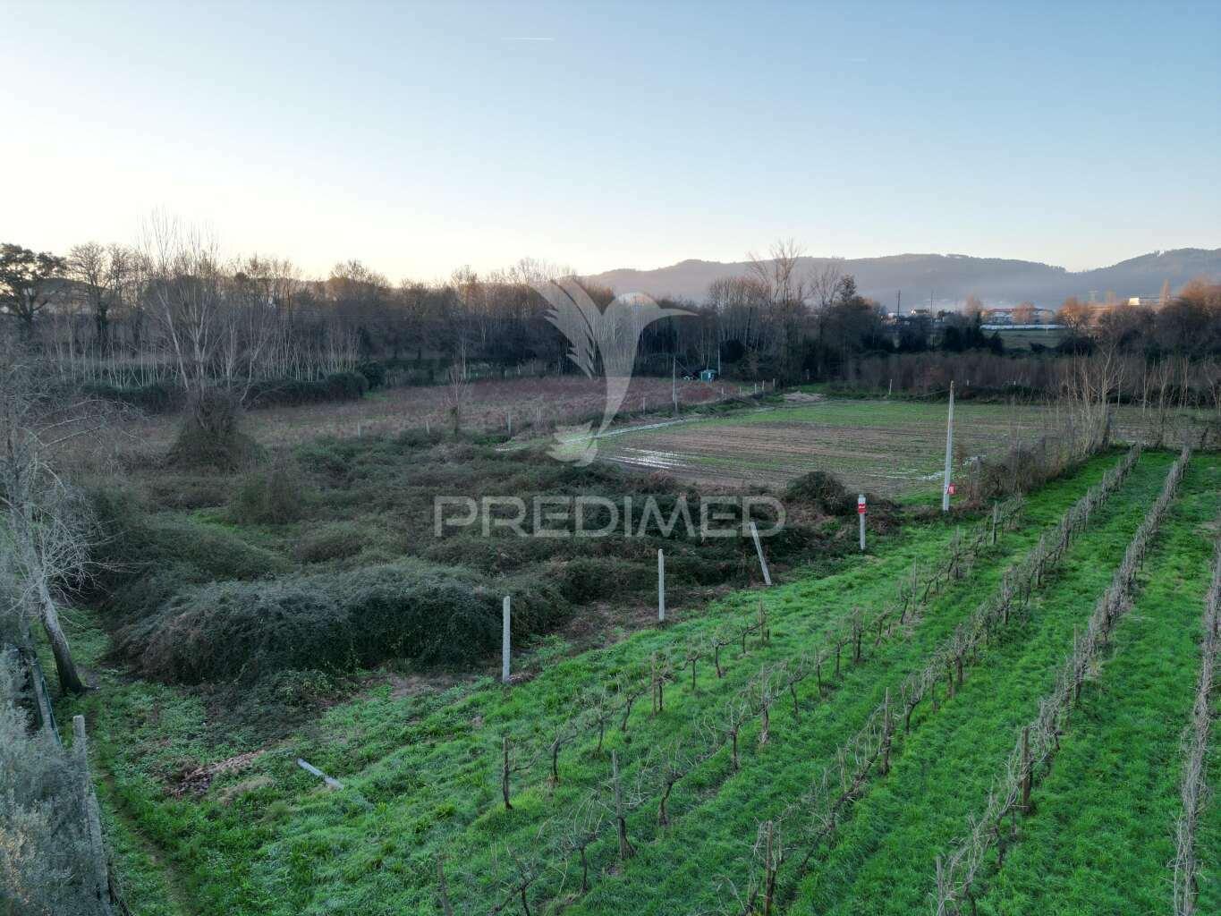 Terreno em briteiros santo estêvão - guimarães