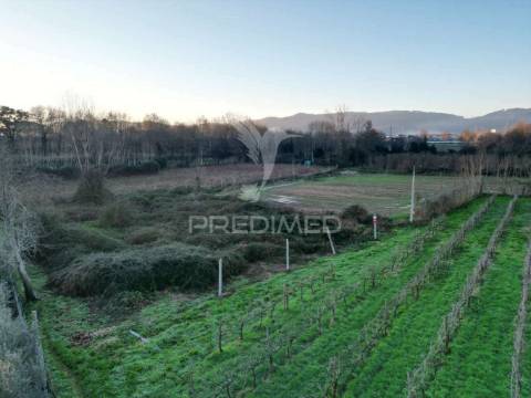 Terreno em briteiros santo estêvão - guimarães