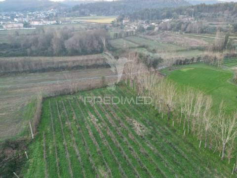 Terreno em briteiros santo estêvão - guimarães
