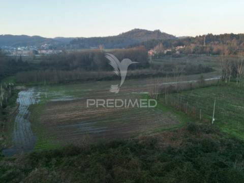 Terreno em briteiros santo estêvão - guimarães