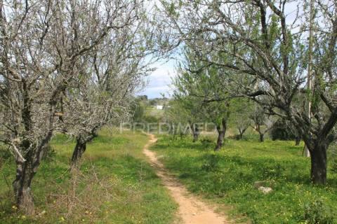 Terreno misto com 7,5 hectares  em albufeira