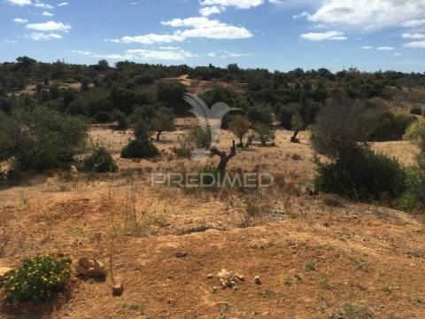 Terreno misto com 7,5 hectares  em albufeira