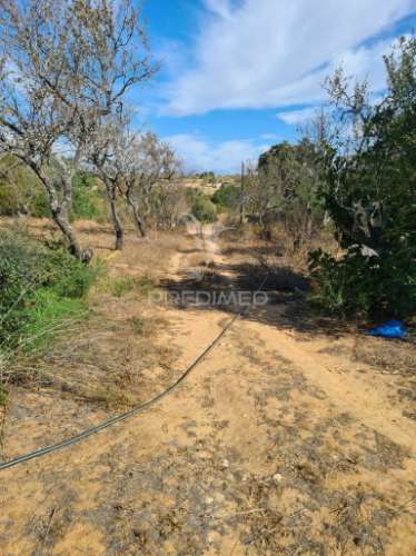 Terreno misto com 7,5 hectares  em albufeira