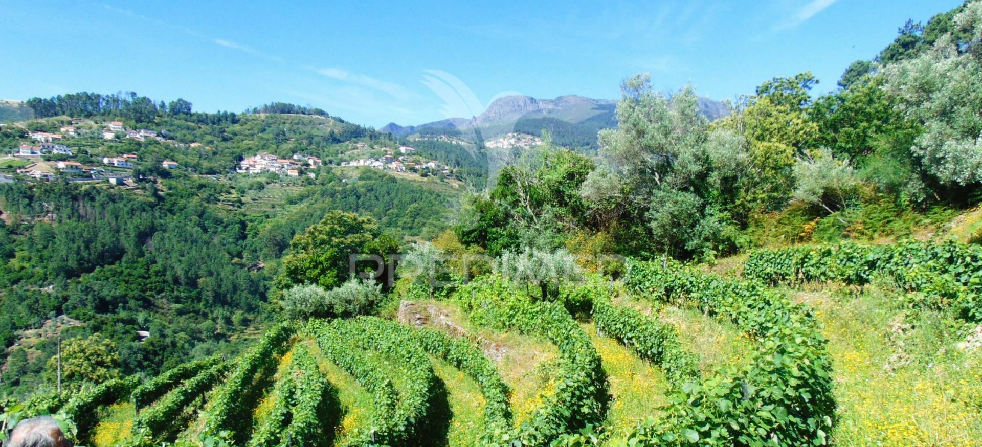 Terreno em louredo / santa marta penaguião